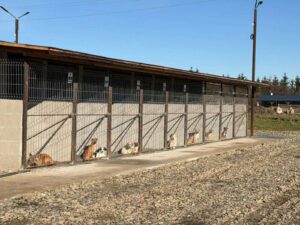 Contrôle vétérinaire