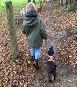 WhatsApp Image 2026-01-22 at 14.54.36 (1)