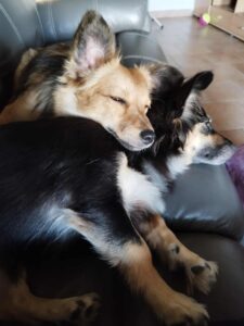 WhatsApp Image 2026-01-22 at 14.54.36 (2)