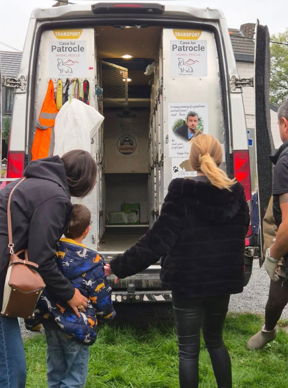 Équipement du chien