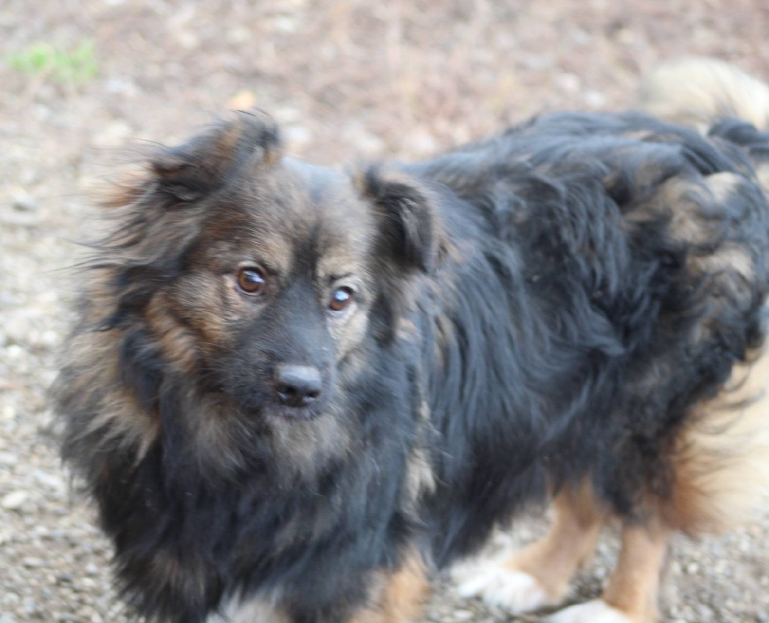 Finley - Image 10