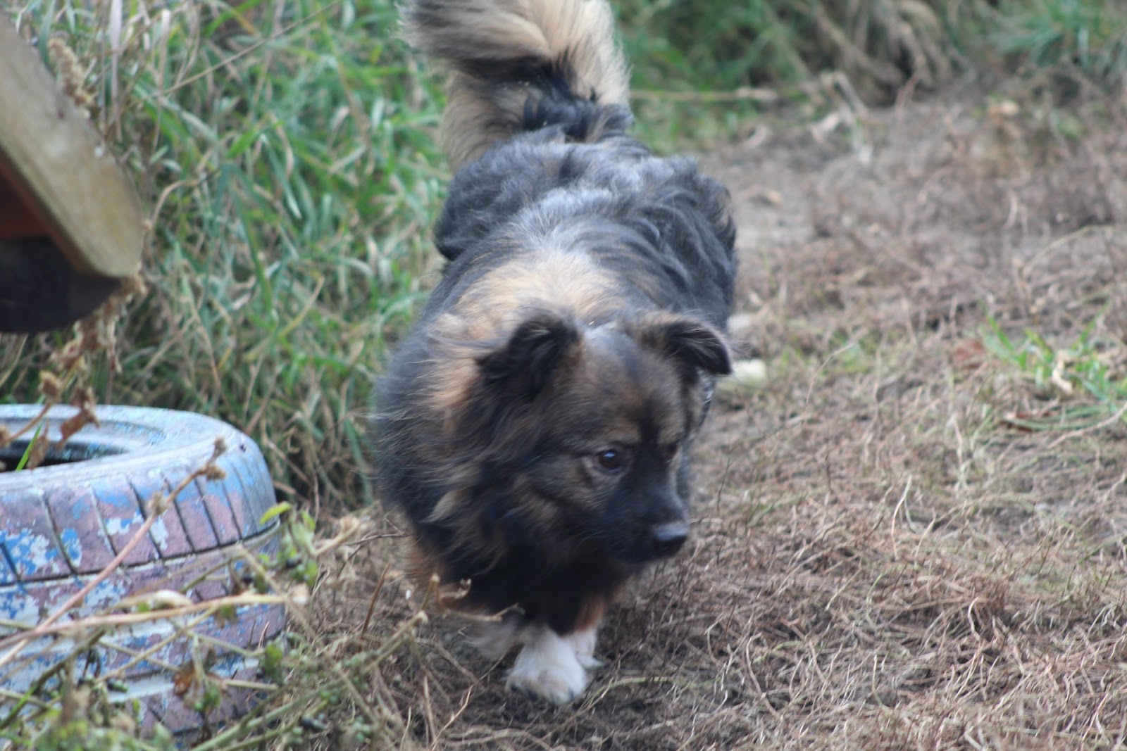 Finley - Image 11
