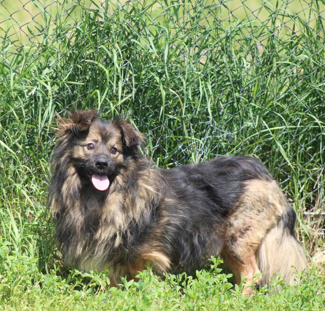 Finley - Image 14