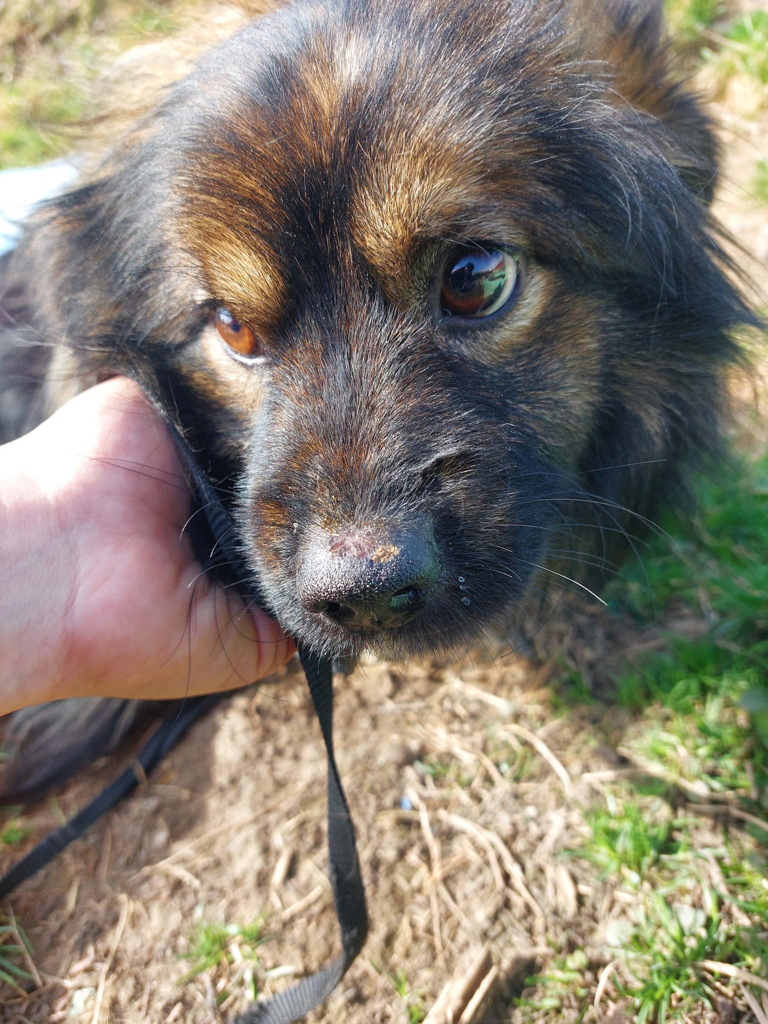 Finley - Image 13