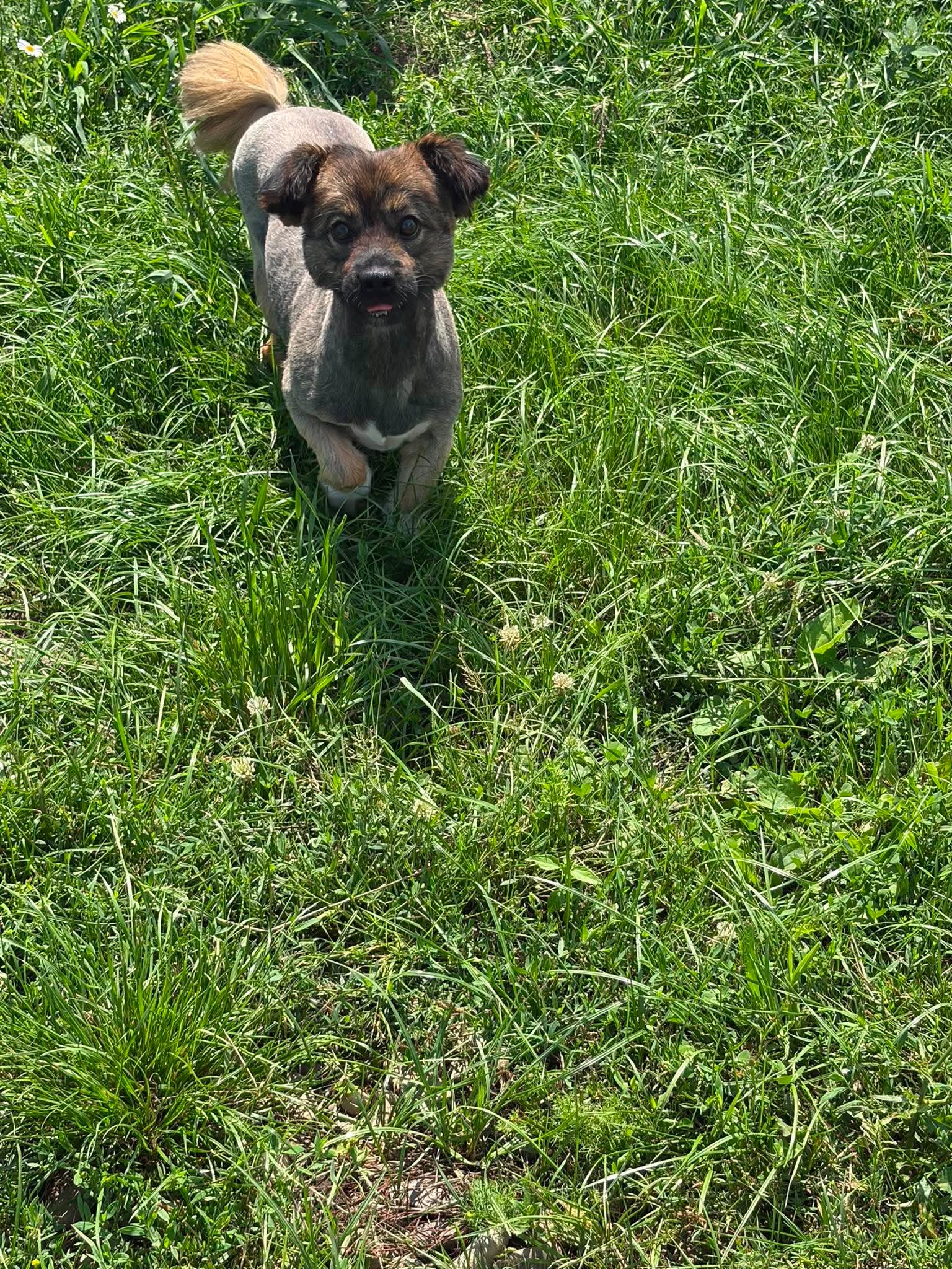 Finley - Image 16