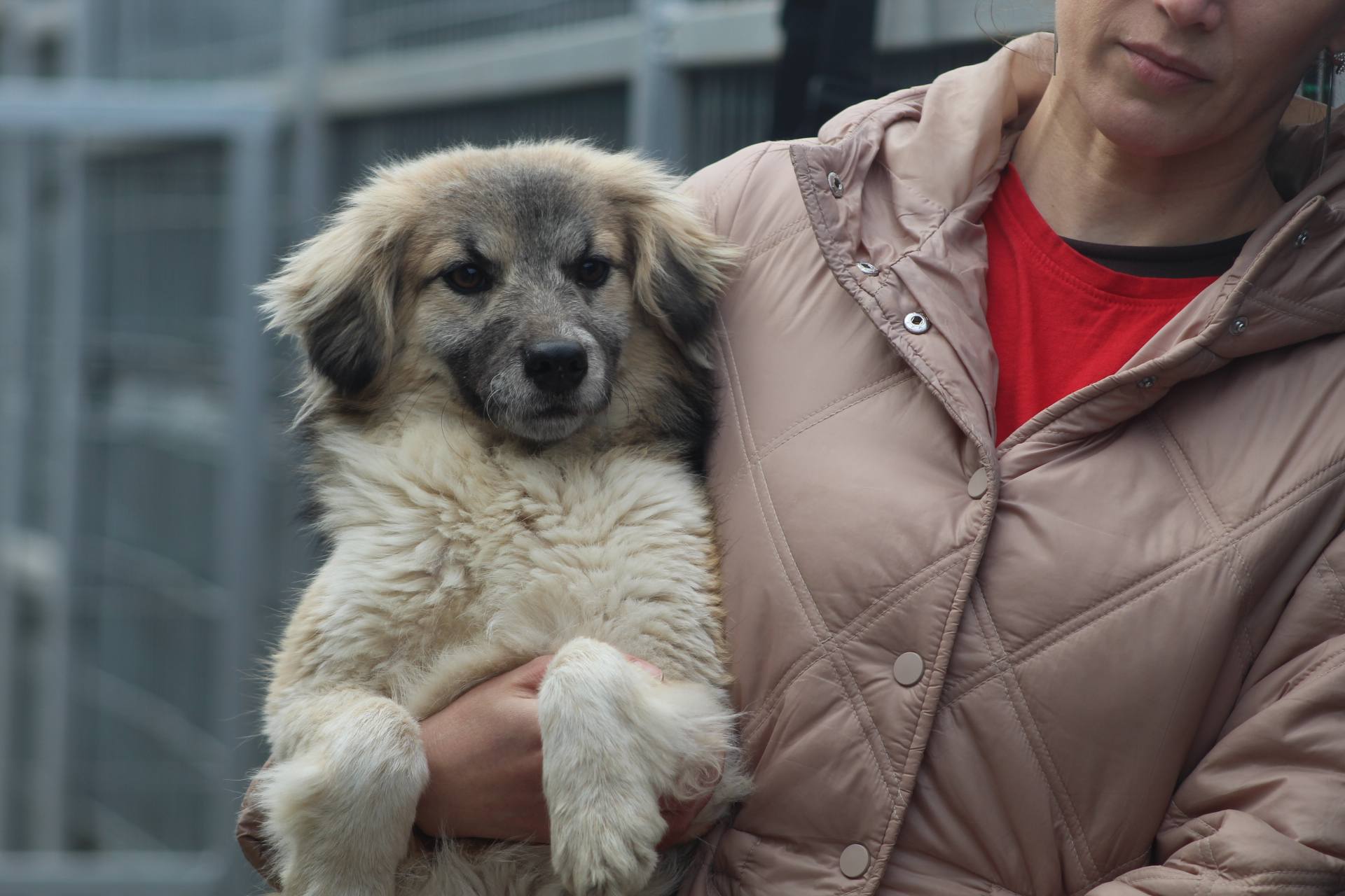 Tilly - Image 4